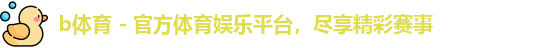 b体育公司